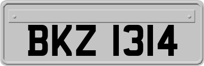 BKZ1314