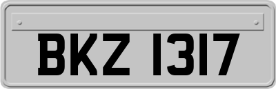 BKZ1317