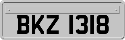 BKZ1318