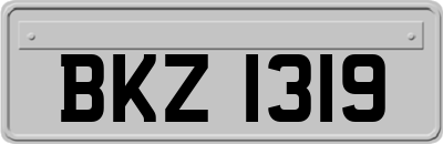 BKZ1319
