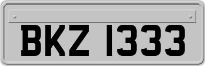 BKZ1333
