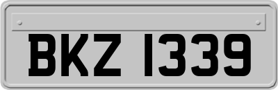 BKZ1339