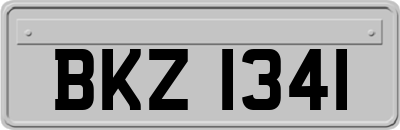 BKZ1341
