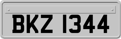BKZ1344