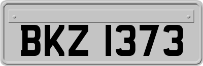 BKZ1373