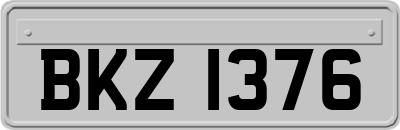 BKZ1376