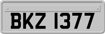 BKZ1377