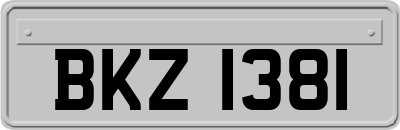 BKZ1381