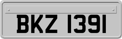 BKZ1391