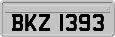 BKZ1393