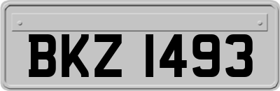 BKZ1493