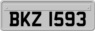 BKZ1593