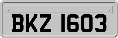 BKZ1603