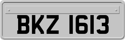 BKZ1613