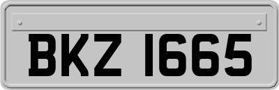 BKZ1665