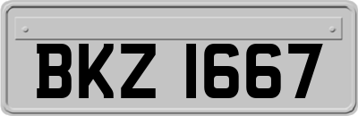 BKZ1667