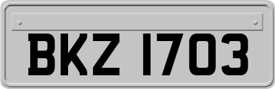BKZ1703