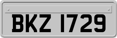 BKZ1729