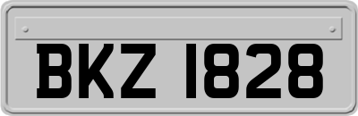 BKZ1828