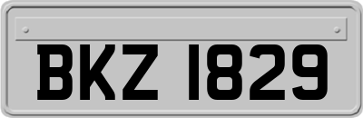 BKZ1829