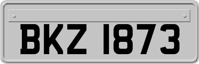 BKZ1873