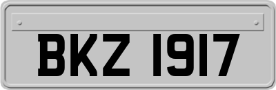 BKZ1917