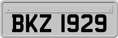 BKZ1929