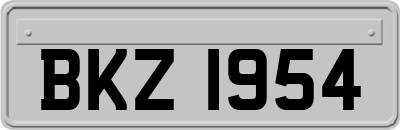 BKZ1954