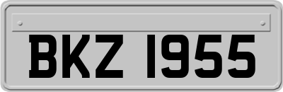 BKZ1955