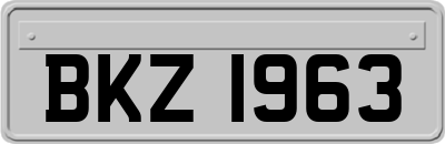 BKZ1963