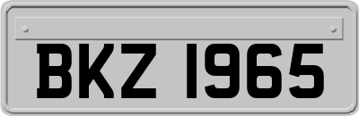BKZ1965