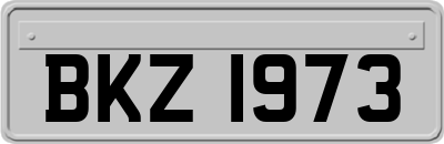 BKZ1973