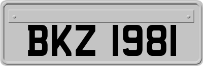 BKZ1981