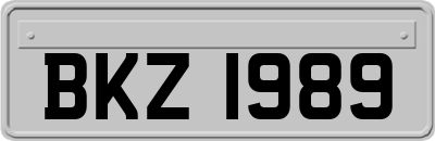 BKZ1989