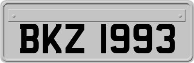 BKZ1993