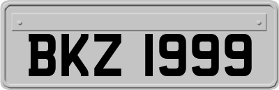 BKZ1999