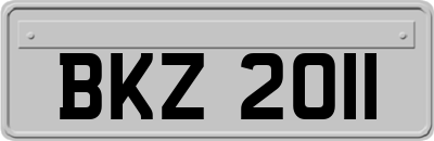 BKZ2011