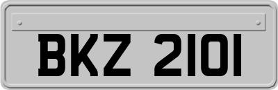 BKZ2101