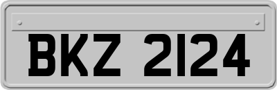 BKZ2124