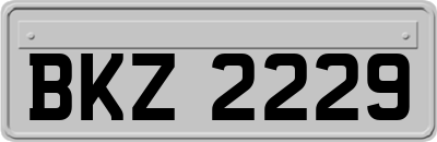 BKZ2229