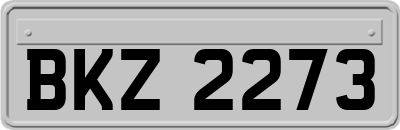 BKZ2273