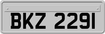 BKZ2291