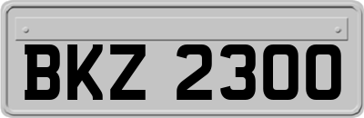 BKZ2300