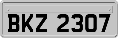 BKZ2307