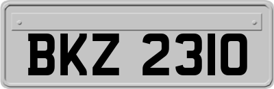 BKZ2310