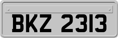 BKZ2313