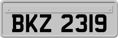 BKZ2319