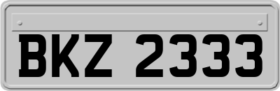 BKZ2333