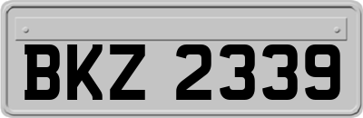 BKZ2339