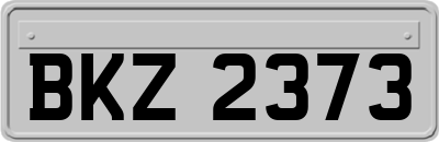 BKZ2373